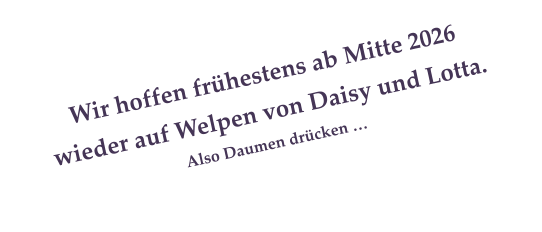 Wir hoffen fr�hestens ab Mitte 2026  wieder auf Welpen von Daisy und Lotta.  Also Daumen dr�cken �