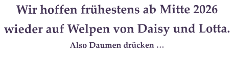 Wir hoffen fr�hestens ab Mitte 2026  wieder auf Welpen von Daisy und Lotta.  Also Daumen dr�cken �