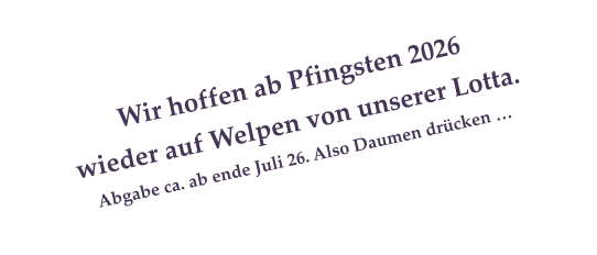 Wir hoffen ab Pfingsten 2026  wieder auf Welpen von unserer Lotta.  Abgabe ca. ab ende Juli 26. Also Daumen dr�cken �